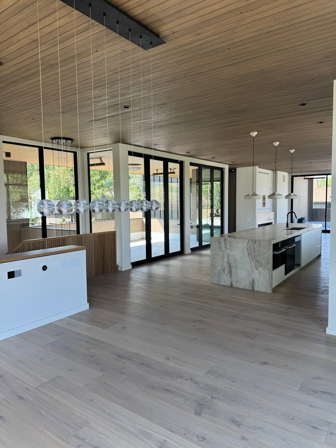 Luxury kitchen and living area painting project